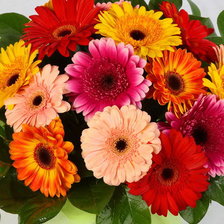 Схема вышивки «герберы»