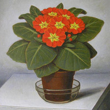 Схема вышивки «примула»