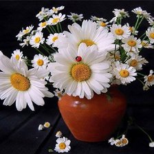 Схема вышивки «ромашки»