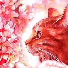 Схема вышивки «кот и цветы»