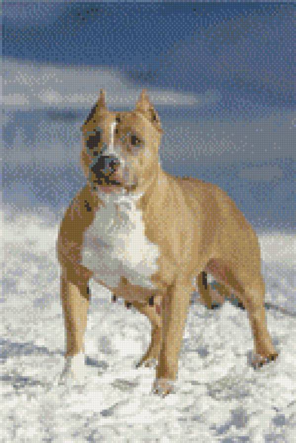 Хилари - предпросмотр