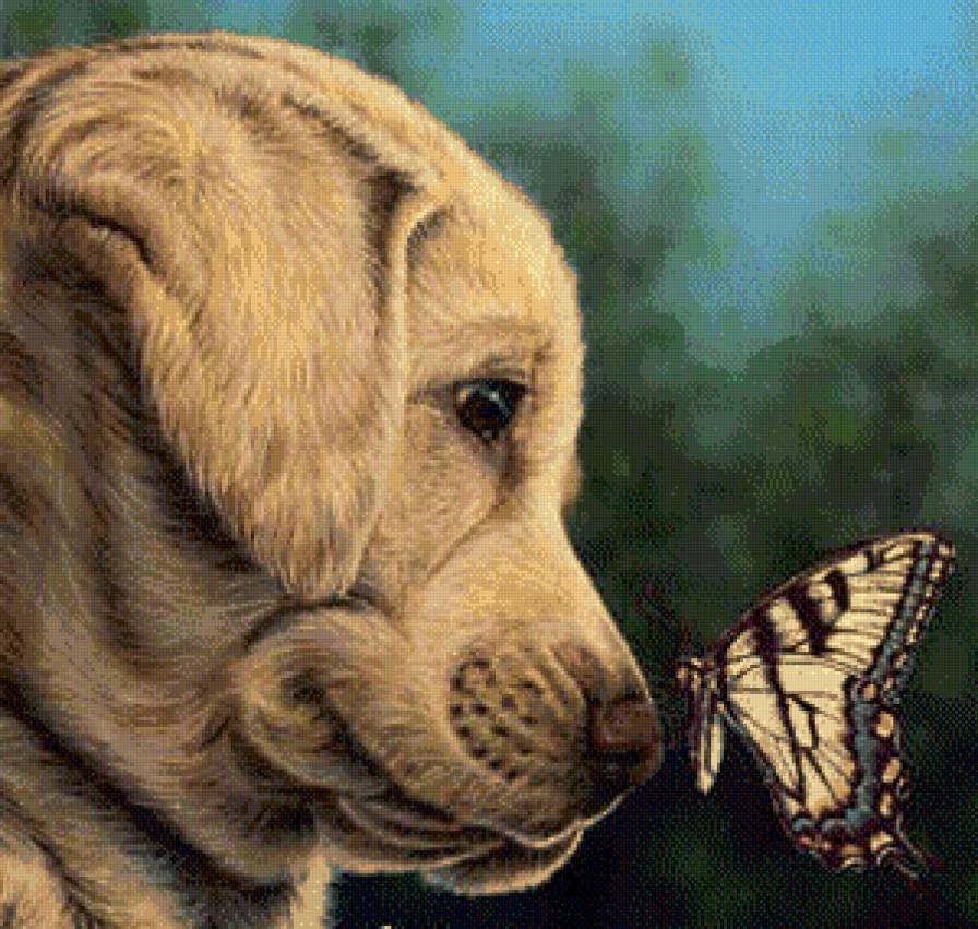 Серия "Домашние любимцы" - носик, пес, собака, бабочка, песик - предпросмотр