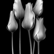 Схема вышивки «№967803»