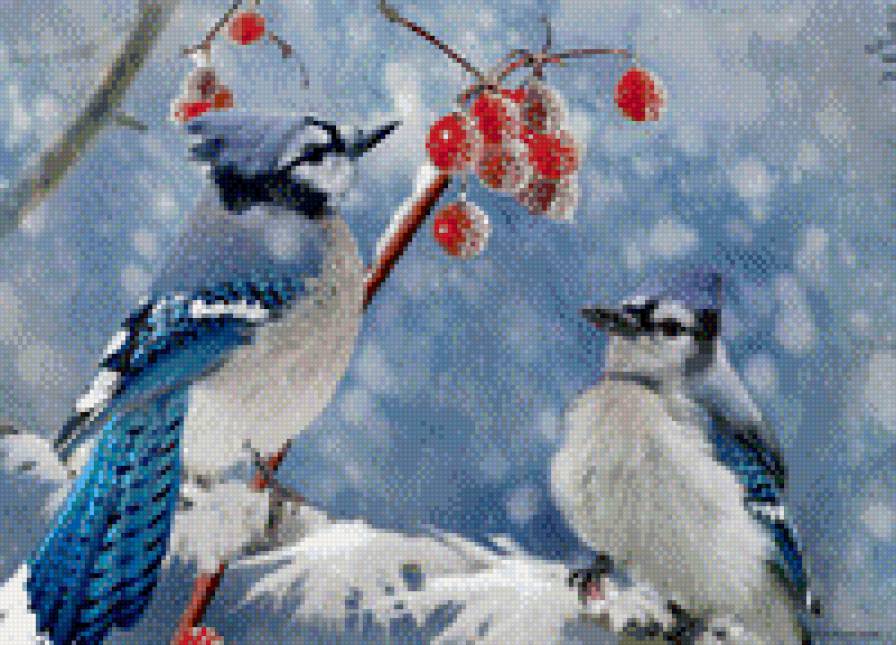 Зимові пташки - зима, картина, птицы, пара - предпросмотр