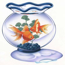 Схема вышивки «золотые рыбки»