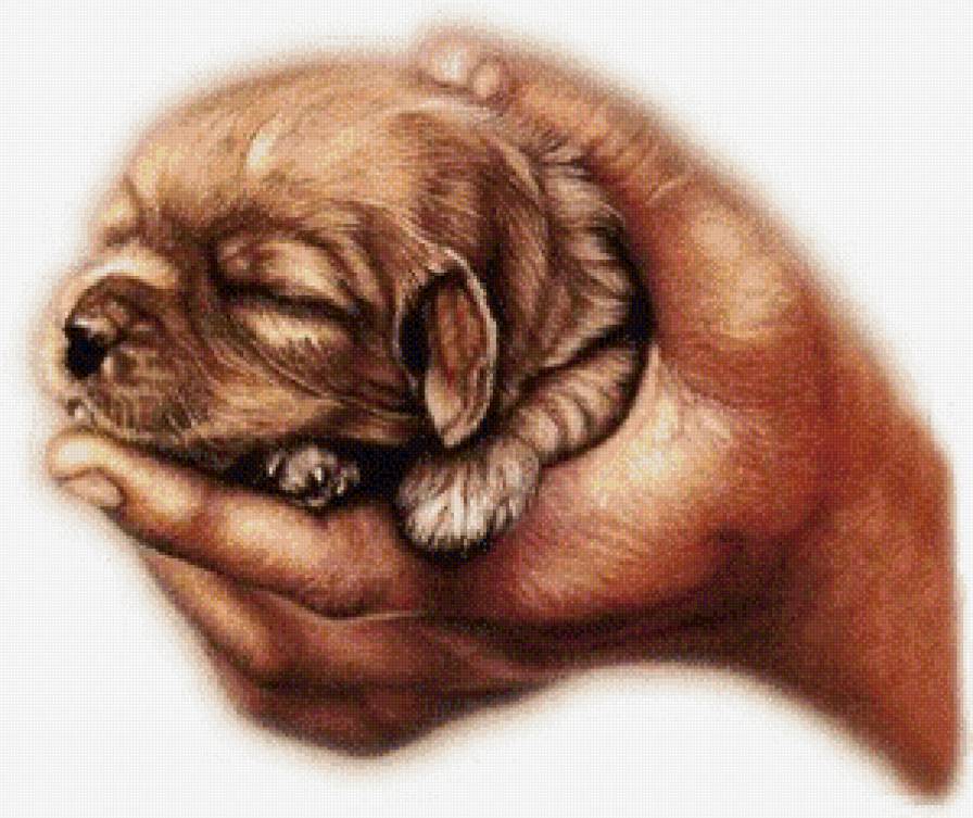 Серия "Домашние любимцы" - малыш, щенок, животные, собачка - предпросмотр