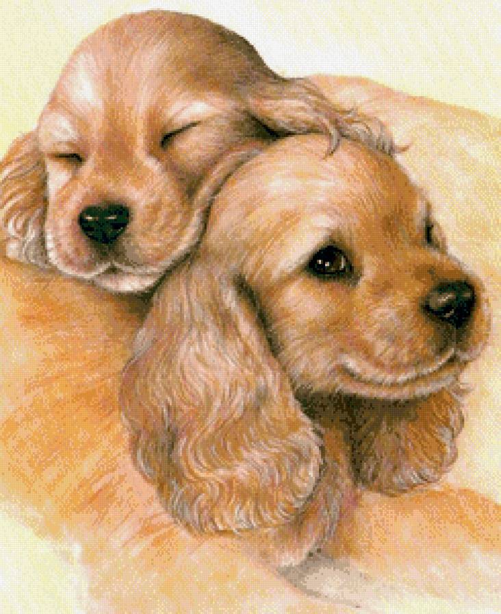 Серия "Домашние любимцы" - парочка, животные, щенки, собачки - предпросмотр