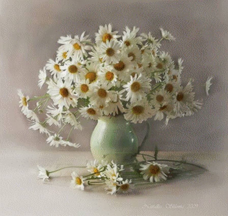 ромашки - натюрморт, ромашки, цветы, букет - предпросмотр