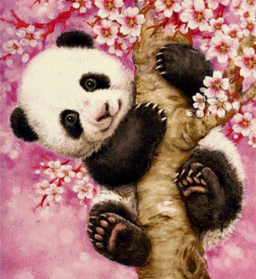 Серия "Дикая природа" - панда, дерево, игра, мультяшки, цветы, мишка - предпросмотр