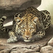 Схема вышивки «Серия "Дикая природа"»