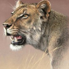 Схема вышивки «Серия "Дикая природа"»