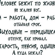 куда бежал?