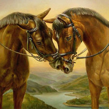 Схема вышивки «Серия "Лошади, кони"»