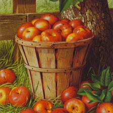 Схема вышивки «яблочки в ведре»