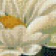 Предпросмотр схемы вышивки «хризантемы» (№968451)