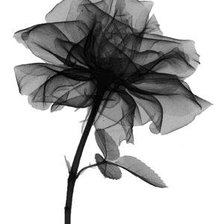 Схема вышивки «Цветок»