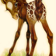 Схема вышивки «Серия "Лошади, кони"»