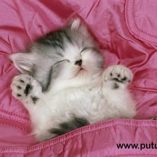 Схема вышивки «котёнок»