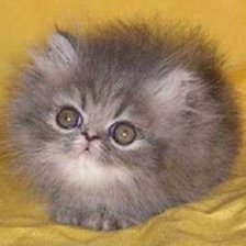 Схема вышивки «№968859»