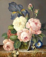 Схема вышивки «Пионы»