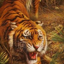 Схема вышивки «тигр»