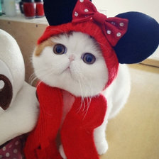 Схема вышивки «котик МикИ»