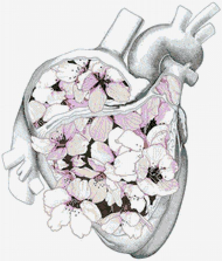 heart - предпросмотр
