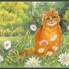 кот в ромашках