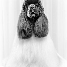 Схема вышивки «Bass»