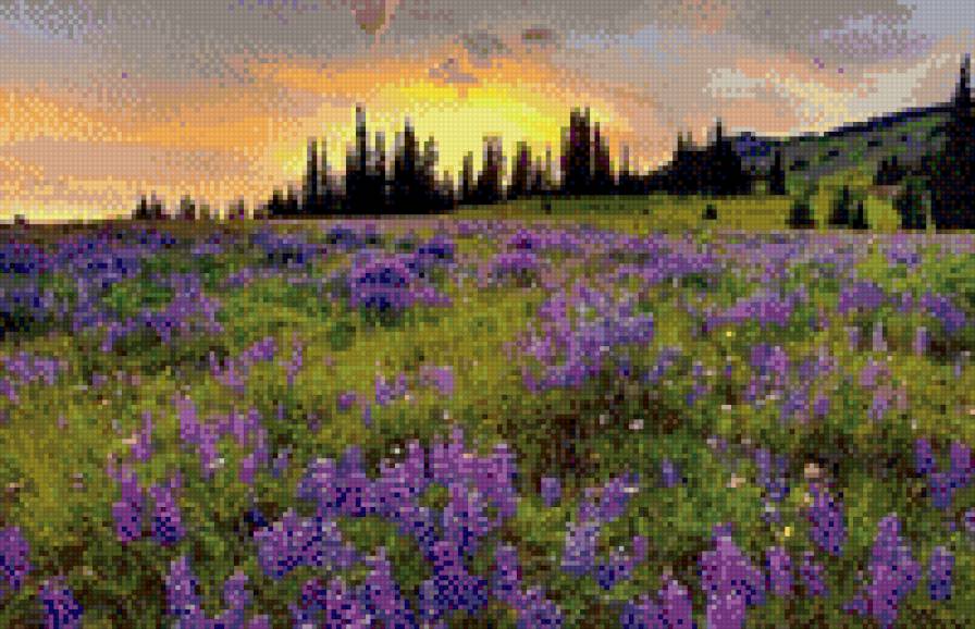 прованс, Франция - природа, пейзаж - предпросмотр