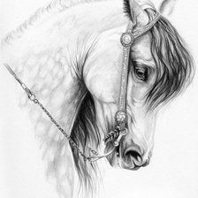 Схема вышивки «Серия "Лошади, кони"»