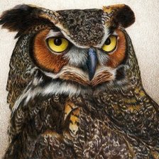 Схема вышивки «Серия "Пернатые"»