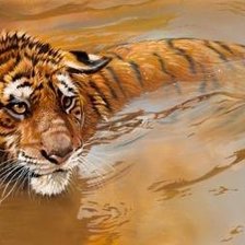 Схема вышивки «Серия "Дикая природа"»