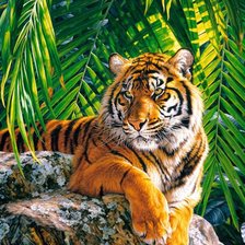 Схема вышивки «тигр»