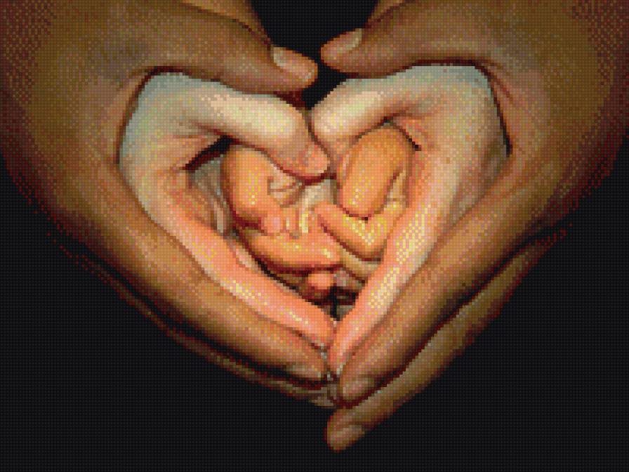 сердце руками - сердце, руки, семья - предпросмотр