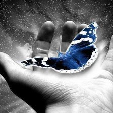 Схема вышивки «Бабочка в руке»