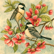 Схема вышивки «Серия "Пернатые"»