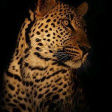 Схема вышивки «1»