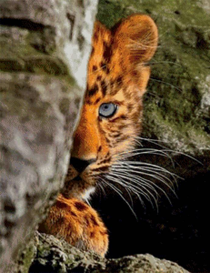 2 - фауна - предпросмотр