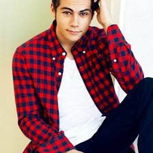 Схема вышивки «Дилан»