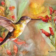 Схема вышивки «Колибри.»