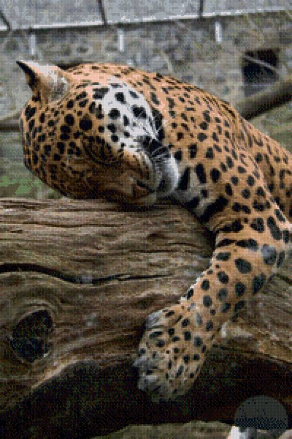 4 - фауна - предпросмотр