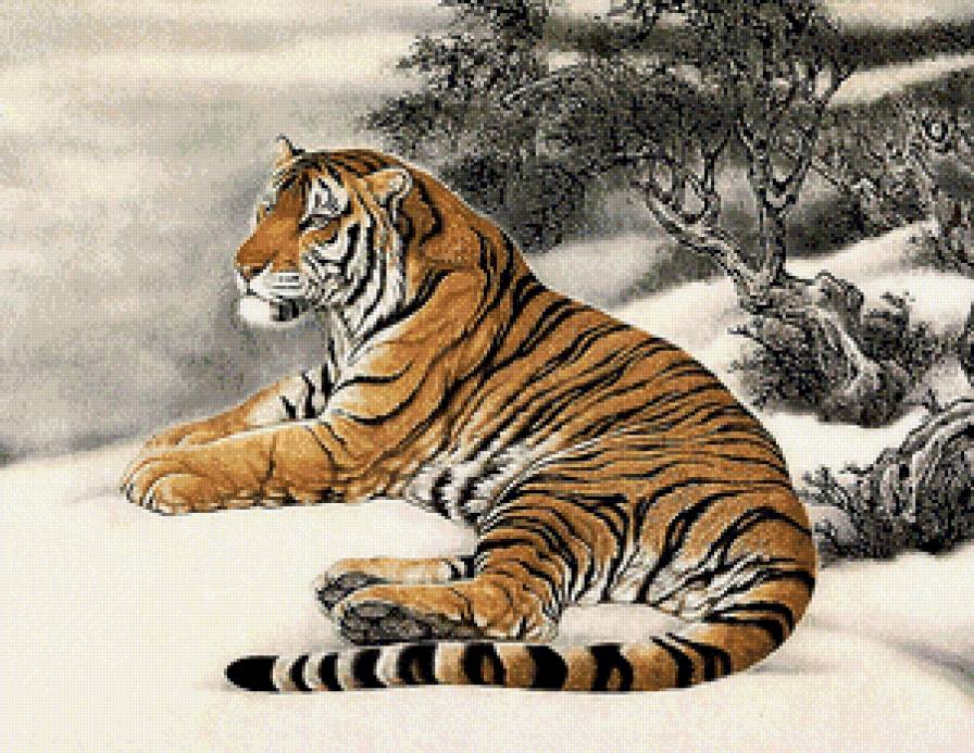 Серия "Дикая природа" - хищник, отдых, тигр, китайский пейзаж, снег - предпросмотр