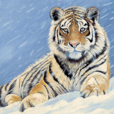 Схема вышивки «Серия "Дикая природа"»