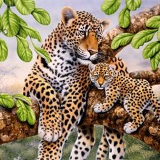 Схема вышивки «лепарды»