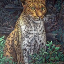 Схема вышивки «леопард3»