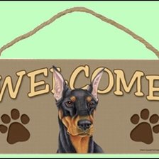 Добро пожаловать!