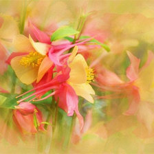 Схема вышивки «Акварель»