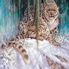 Схема вышивки «Ирбисы»