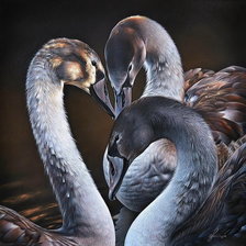 Схема вышивки «три лебеля»